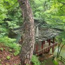 미계 신의련 유적비 이미지