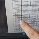 #01 24년 4분기 일본 워홀 결과(합격자 발표) | 이유서, 계획서, 부산한일문화교류협회