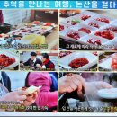 2023 논산 가볼만한곳 강경 젓갈시장 젓갈축제 황해도젓갈 저렴하게 사고 강경맛집 경모네 젓갈백반
