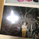 청림세차장 | [일상] 블로그 타임머신 그만 타게 해줘