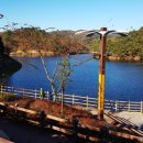 명덕호수공원 이미지