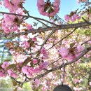 고향땅가든 | 원주 뮤지엄산 이배 전시 할인 관람 꿀팁 '완벽한 나들이 코스'