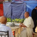 올리베또B 이미지