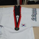 THE해온태권도 이미지