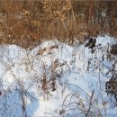 상좌보건진료소 이미지