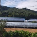 가온태양광발전소 이미지