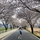 한정보건진료소 이미지