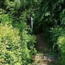 온여고길 이미지