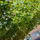 영등포구 대림1동주민센터 이미지