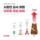 “도쿄 더운데 누가 가요”…요즘 확 뜨는 인기 여행지 이미지