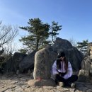 봉삼초등학교 이미지