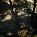 연화약수터 이미지