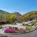 국민여가캠핑장 이미지