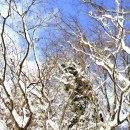 교래자연휴양림야영장 이미지