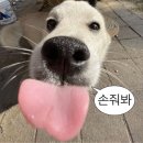 하누사랑