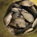 청도천10 이미지