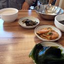 이것이코다리다 이미지