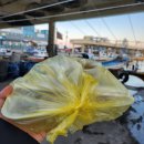 까르디에A 이미지