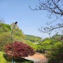 섬말공원 이미지