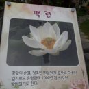 함안(순천) 이미지