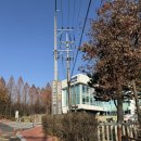 [파주카페] 파주 브런치 맛집 대형 베이커리 카페 추천 : 아리아 1968 (단골메뉴추천)