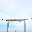 헤이븐(haven) 이미지