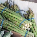 진포식품 이미지