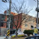 춘양약국 이미지