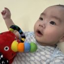 5개월 육아일기 | D+141~153 | 뒤집기 성공, 첫 문센 후기
