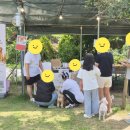 강아지 간식 브랜드 멍타쥬 첫 플리마켓 참여 후기 🎉