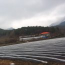 옛고을농장 이미지