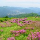 남운주유소 Daum카페