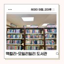 모일리 | 하와이 한달살기 아이랑 가볼만한 곳 맥컬리 모일리일리 도서관