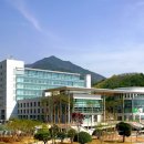 주정차-39 이미지