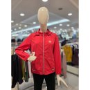 크로커다일레이디 이미지