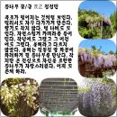 아래로