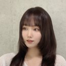 여기서헤어 이미지