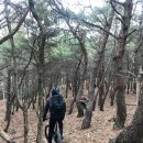 써니바이크 - 포항시 남구 효성로93번길 30-27 | 써니바이크
