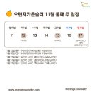 오렌지스터디 이미지