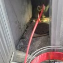 완월동125 이미지