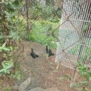 조은집애 한우 이미지