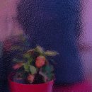 생활영어 마스터하기 이미지