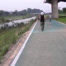 행운오리 이미지