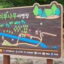 금오산 야영장 이미지