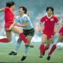 왕 - 전주시 완산구 한두평4길 11-4 | 왕