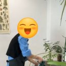 썬들썬들 이미지