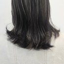 새치커버 고잉그레이｜마곡역 미용실 라브리지 후기