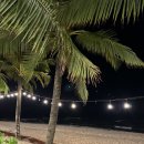 (주)탑호텔 앤 레지던스 | [베트남 푸꾸옥] 프리미어레지던스 뉴월드 호텔 근처 맛집 :: Ann Seafood •Com tho tay cam 바닷가...