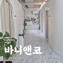 바니앤코 이미지