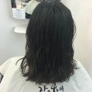 바디웨이브 이미지